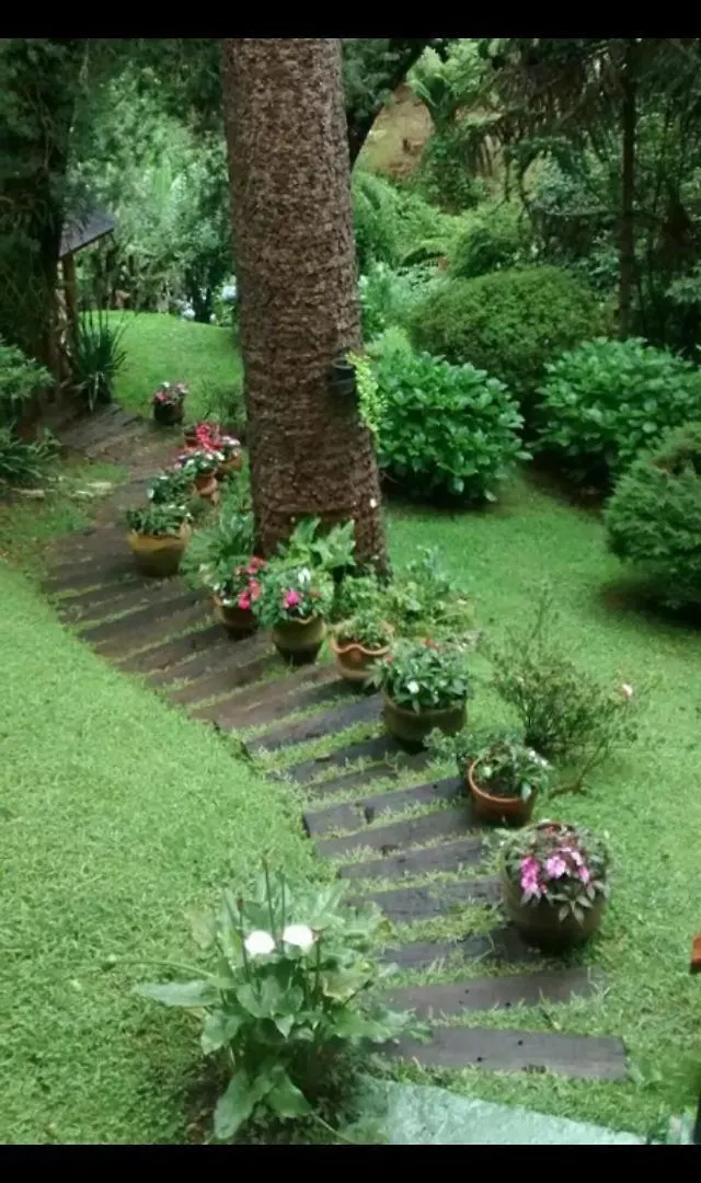 Aconchegante Apartamento Campos do Jordão 0*,